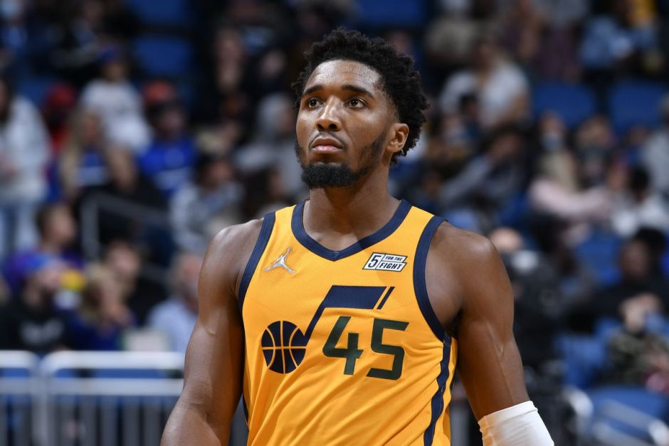 观众可以参 观众可以参