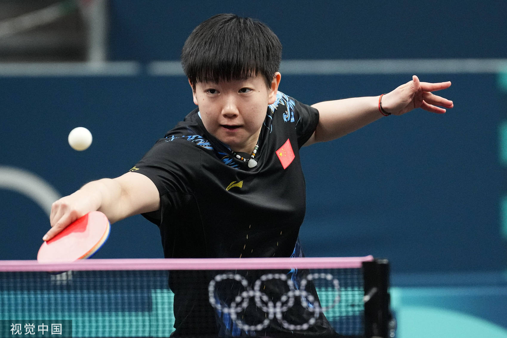 的专业判断 的专业判断